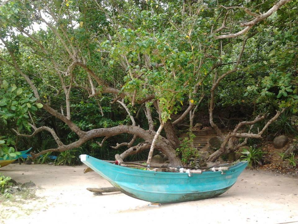 Sleepy Head Guesthouse Unawatuna Exterior foto